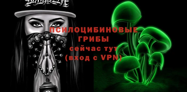 дурь Алексин
