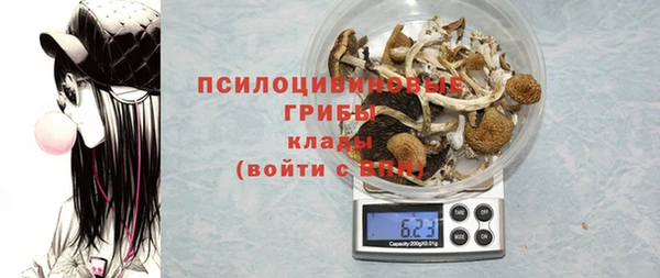 дурь Алексин