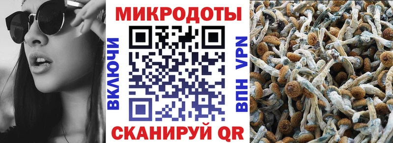Псилоцибиновые грибы Cubensis  Десногорск 